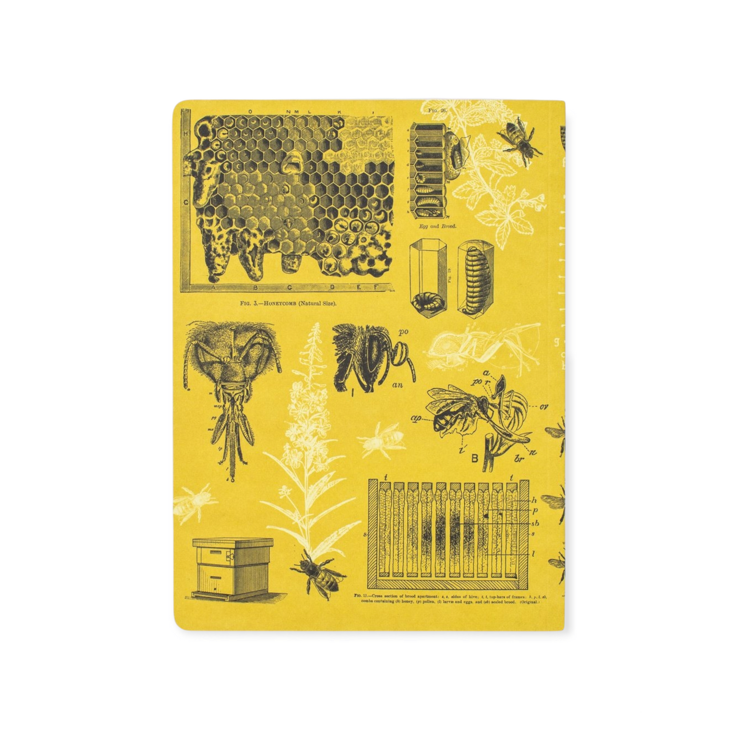 Notebook abeille